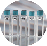 Stray Light Reference